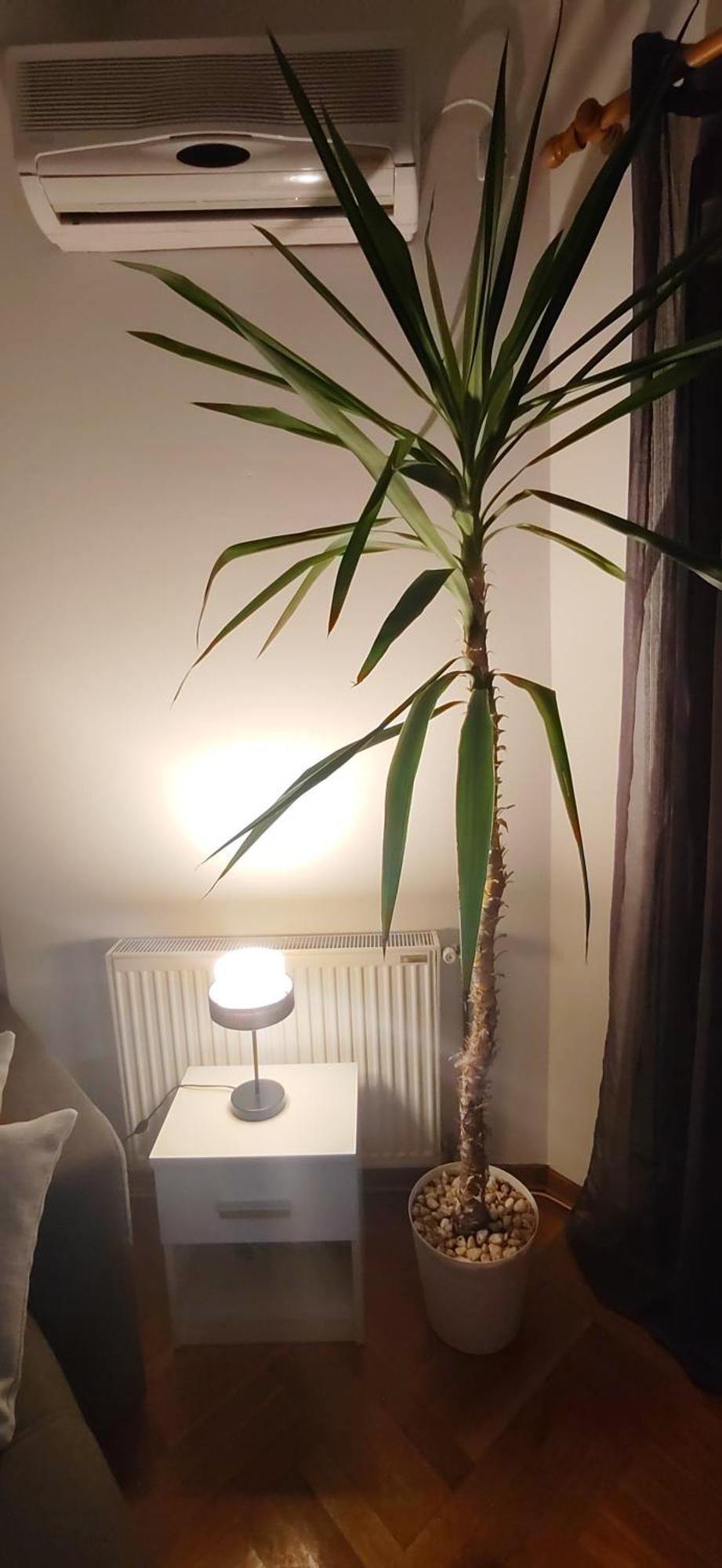 Apartment Paris 2 Night Private Parking Ni